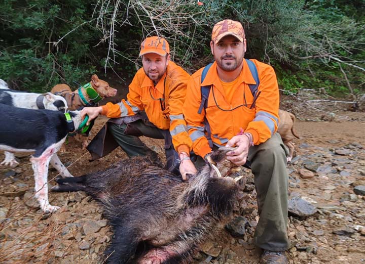 Resultado Montería Montegil 2026 Monterias Guadalcazal